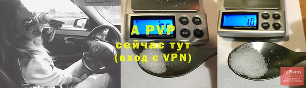 дмт Покачи