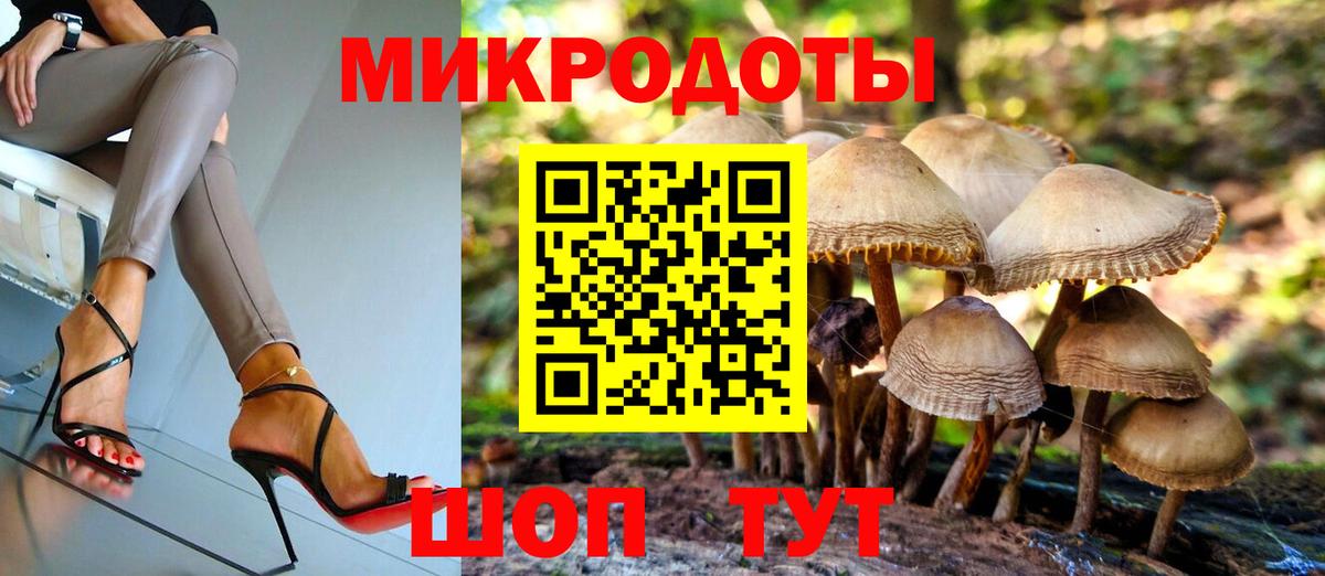 Кропоткин  Галлюциногенные грибы Psilocybe  Галлюциногенные грибы прущие грибы  Вход с VPN 