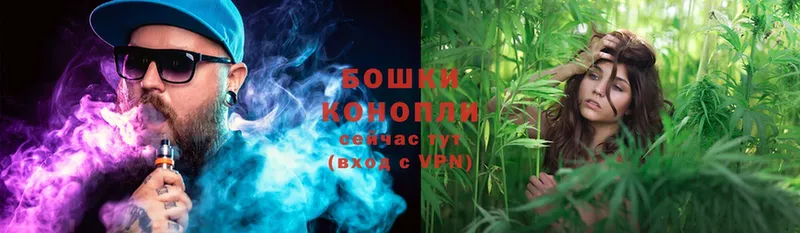 Конопля SATIVA & INDICA  Кропоткин 